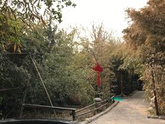 -仁爱团泊湖温泉中心