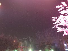 -蓝鲸湾汤泉(包河店)