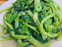 椒丝腐乳通菜-贞姨美食·老字号海鲜大排档