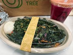 -油梨树AVOCADO TREE(望京店)