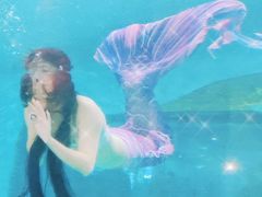 -苏州海洋馆