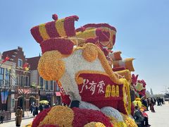 -荷兰花海