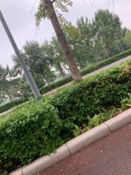 -HEYAN长风荷妍专业脱毛美肤
