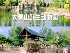 -大青山野生动物园