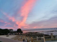 -宝安西湾红树林湿地公园