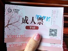 -金鸡湖桃花岛
