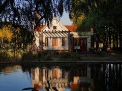 -上海共青森林公园