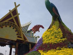 -七彩云南欢乐世界