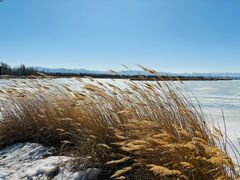 -野鸭湖国家湿地公园