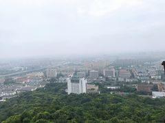 -杭州半山国家森林公园