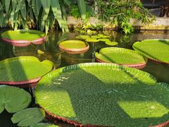 -国家植物园南园