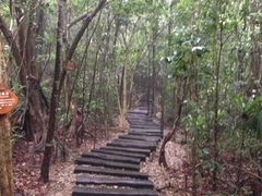 -三亚亚龙湾人间天堂鸟巢度假村