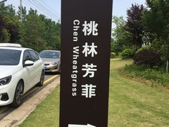-天屿湖