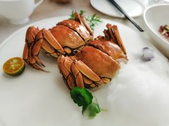 -食神鱼头佛跳墙(百子湾旗舰店)