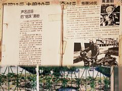 -三鄉濑粉·铭珠粥粉