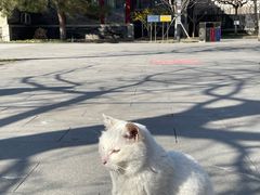 -北京鲁迅博物馆(北京新文化运动纪念馆鲁博馆区)