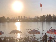 -艾溪湖湿地公园