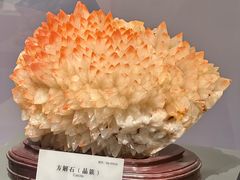 -湖南省地质博物馆