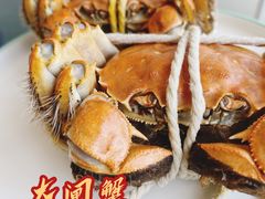 -蟹天蟹地农家菜·阳澄湖大闸蟹(浅水湾店)