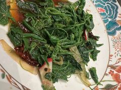 -芙蓉十九·新湘菜
