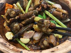 -天宝食坊·啫啫煲大排档(西华路店)