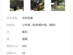 -荔香公园