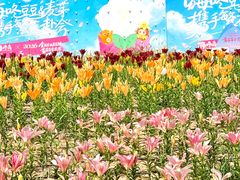 -中国农业博物馆