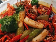 -京悦南门涮羊肉·羊蝎子火锅(田林路店)