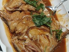 -大连湾旭日·家宴·海肠捞饭(马栏广场店)