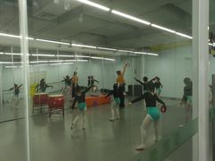 -舞蕾舞蹈·专注中国舞18年(天通苑中心校区)