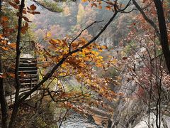 -洛阳白云山景区