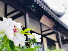 -狼山风景名胜区