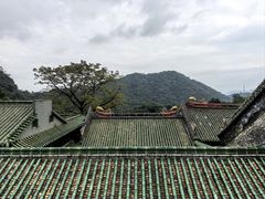 -鼎湖山风景区