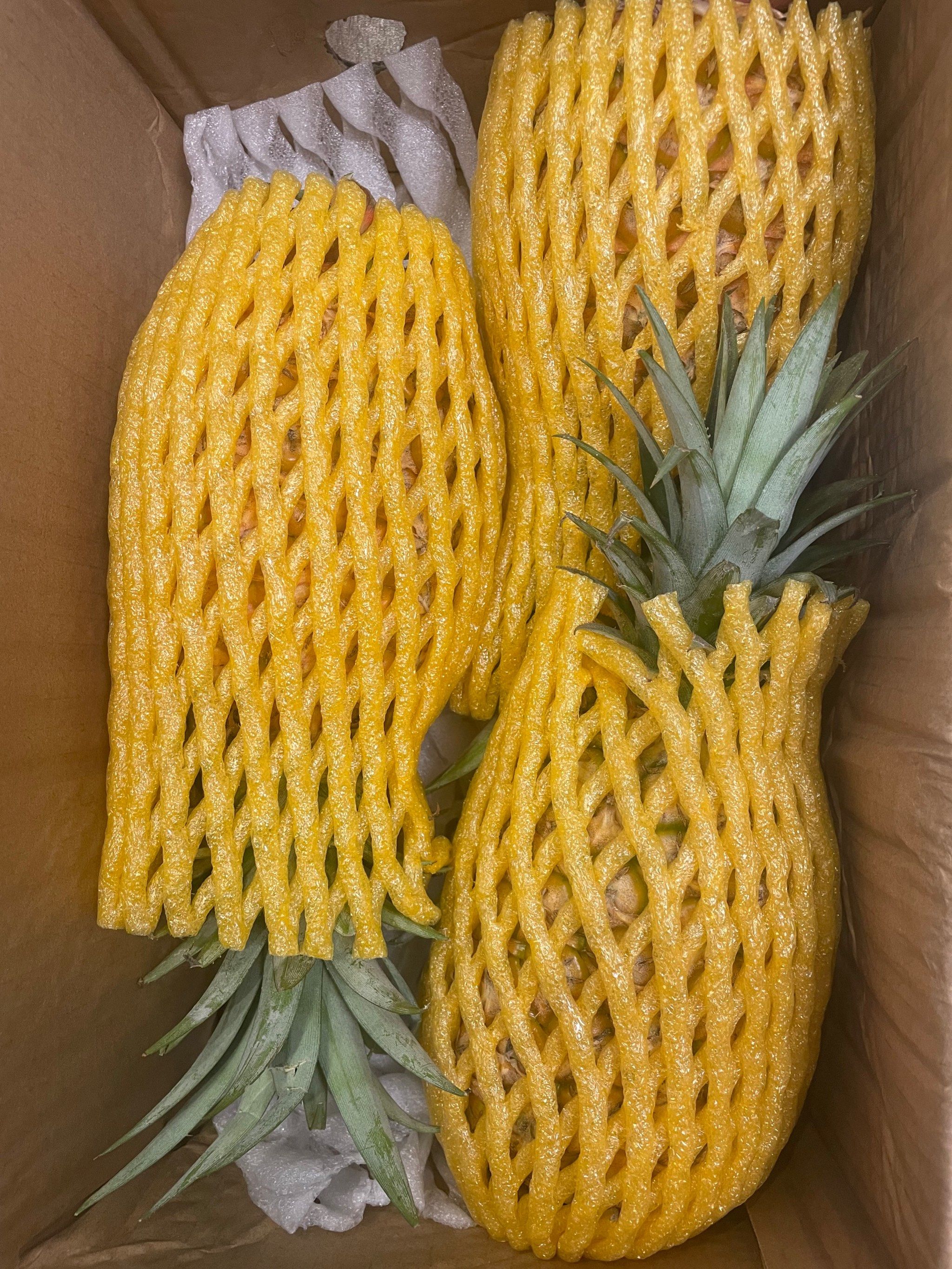 春日宜吃凤梨🍍