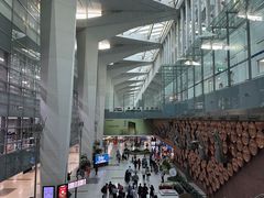 -英迪拉·甘地国际机场