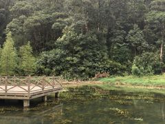 -广州市石门国家森林公园