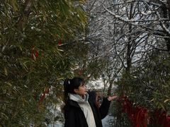 -少华山国家森林公园