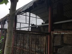 -河北村民俗体验园