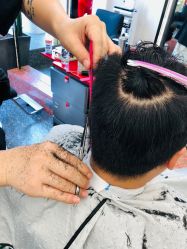 -IP SALON