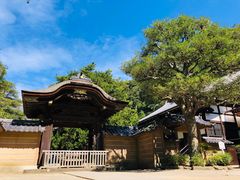 -镰仓 峰本(八幡宫前本店)