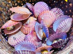 -蚝堡海鲜·威海菜·海肠捞饭·烧烤·亚洲吃蚝公司(幸福门店)