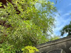 -珞珈山-售票处