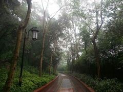 android_upload_pic-铁路文化公园