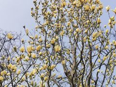 -北京西山国家森林公园