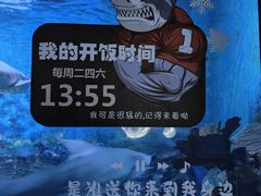 -烟台海昌鲸鲨海洋公园