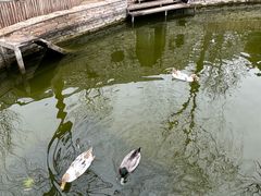 -南宫五洲植物乐园