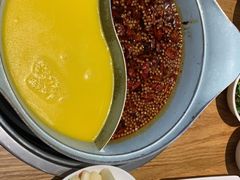 -青瓷火锅料理(西单大悦城店)