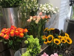 -植物学家的女儿(北马道巷店)