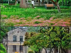 -东南大学(九龙湖校区)