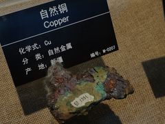 -甘肃地质博物馆